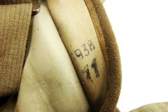 43