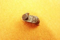 66
